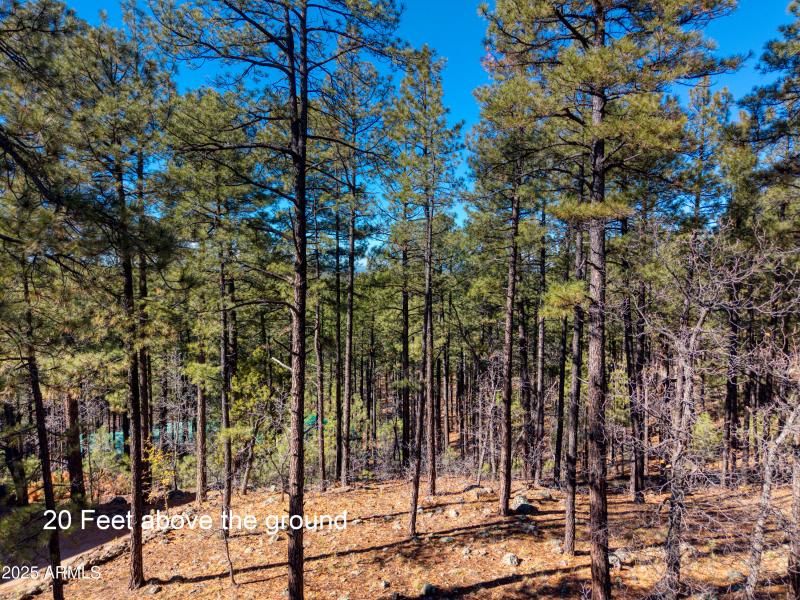 2189 Creekside Court, Pinetop, AZ