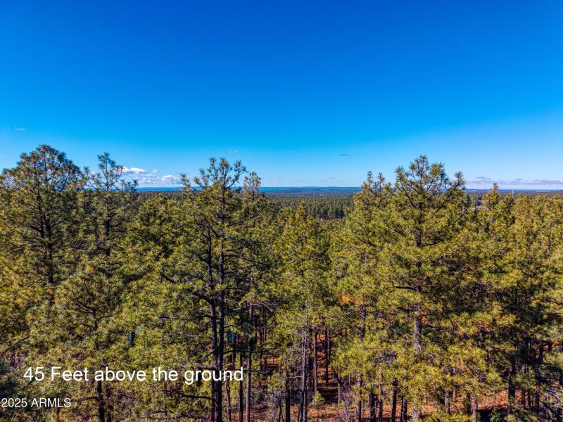 2189 Creekside Court, Pinetop, AZ