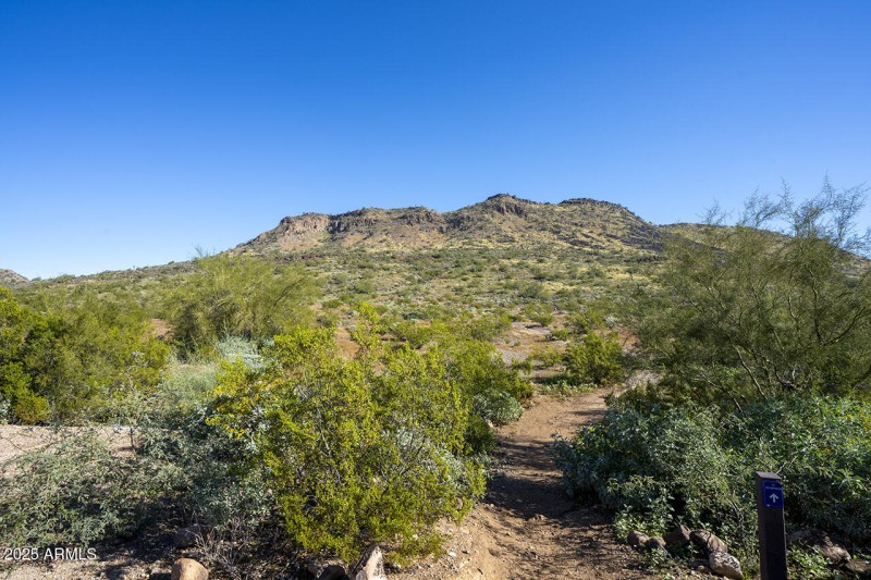 Deems Hill Walking Path
