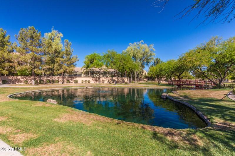 55 - Periwinkle 2043