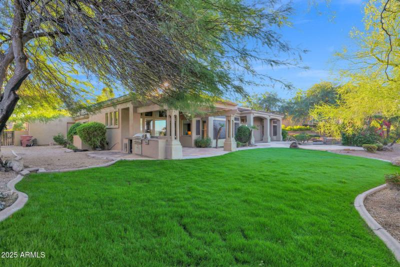 Backyard Grass Area 2