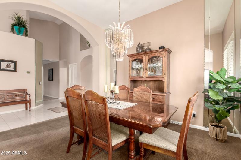 11 - Coopers Hawk 9342