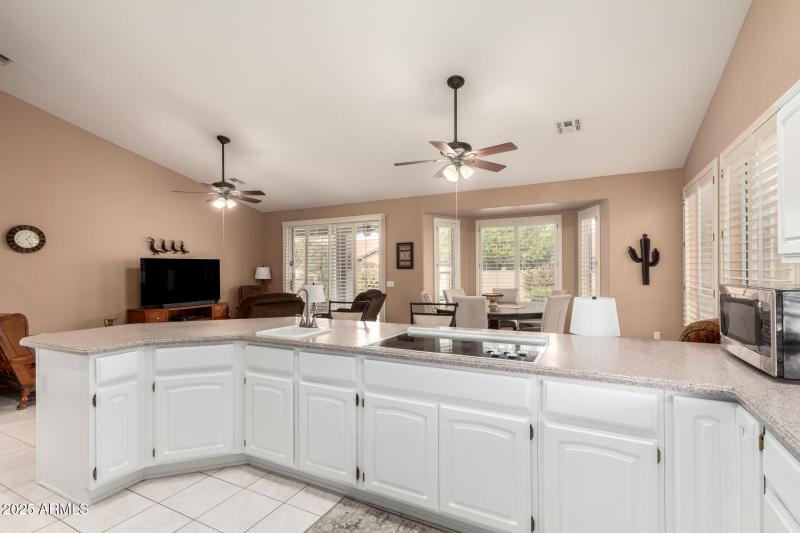 22 - Coopers Hawk 9342