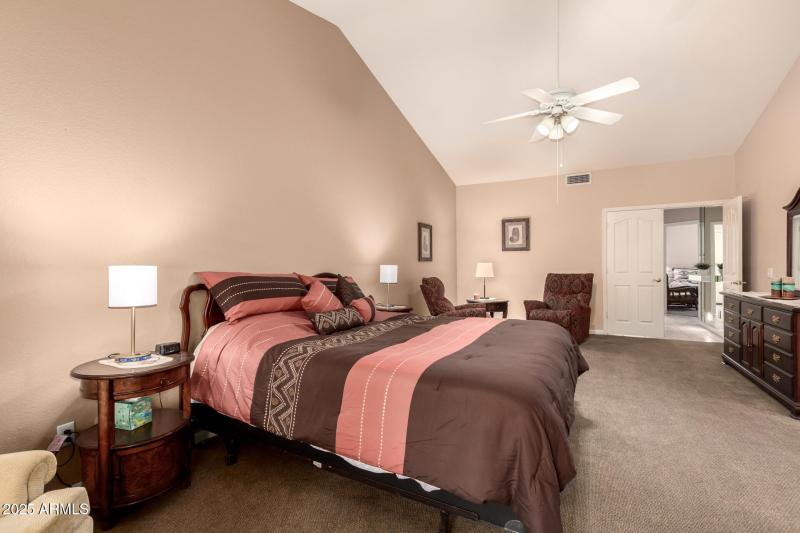 23 - Coopers Hawk 9342