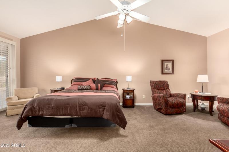 25 - Coopers Hawk 9342