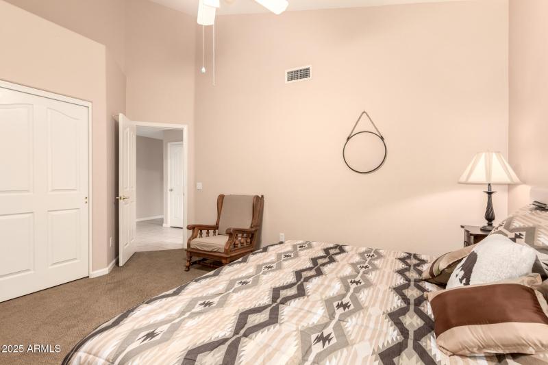 33 - Coopers Hawk 9342