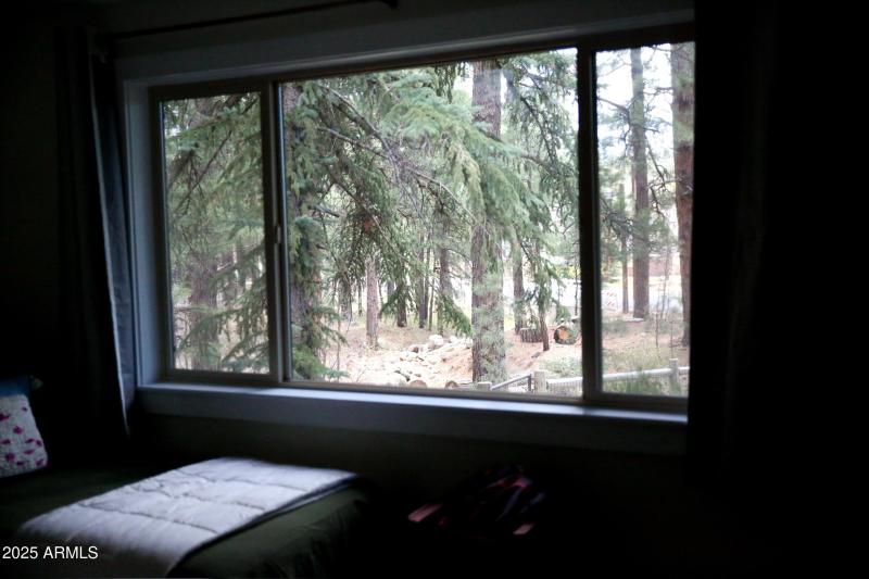 Photo May 19 2025, 5 33 47 PM