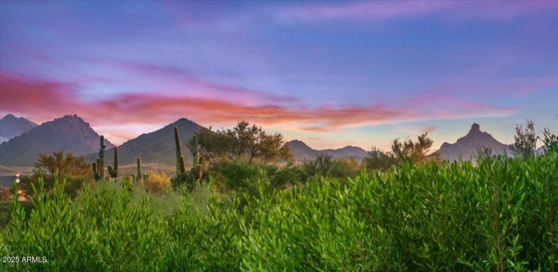 Valley Views