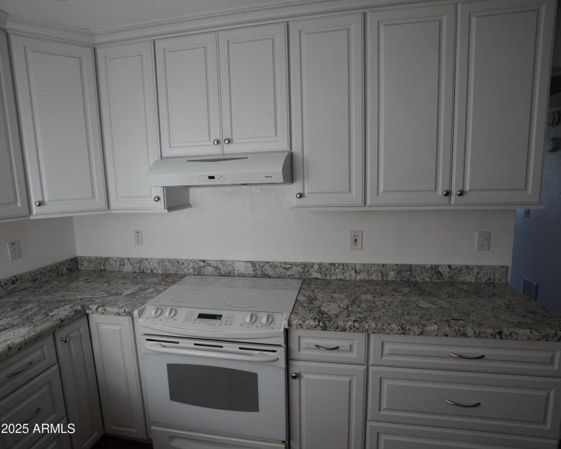 Hood Vent_Oven resize