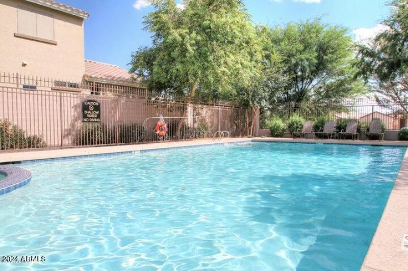 Ocotillo Landing Swimming Pool