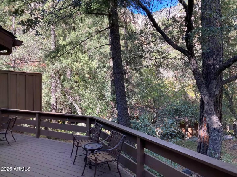 Back Patio Decking area