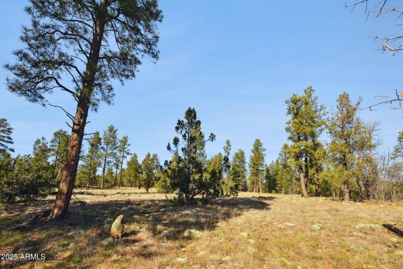 31-web-or-mls-1220-caribou-rd