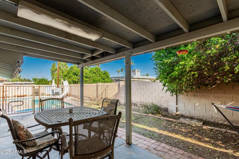 32 - Royal Palm 3836