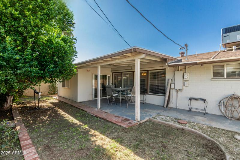 37 - Royal Palm 3836