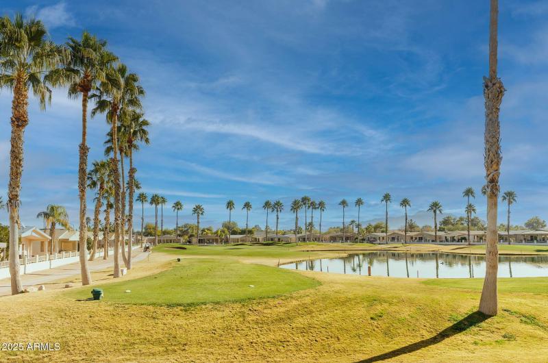 40-web-or-mls-ZDSC_3771