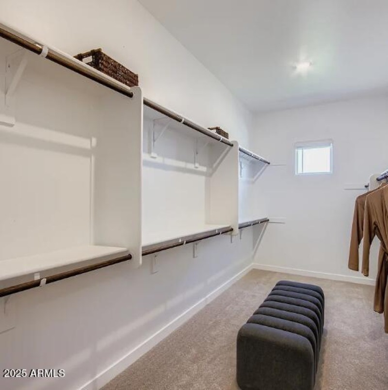 Owners Walk in Closet