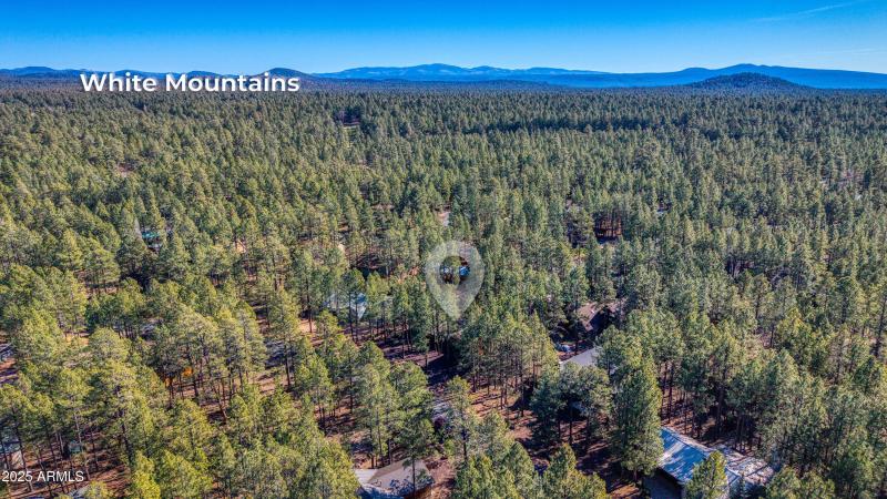 7185 Moon Creek Circle in Pinetop