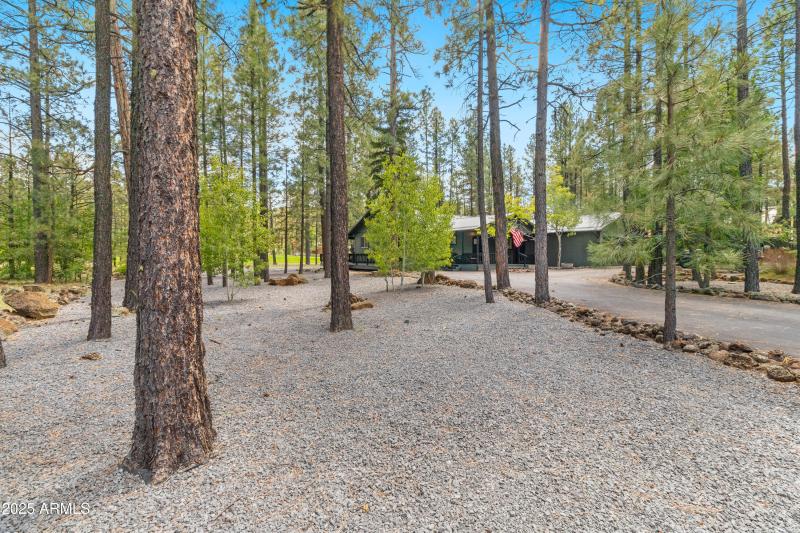 7451 Buck Springs Rd, Pinetop (7)