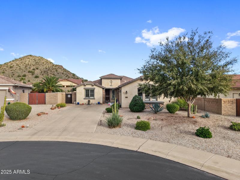 31417 N Desert Star St-41
