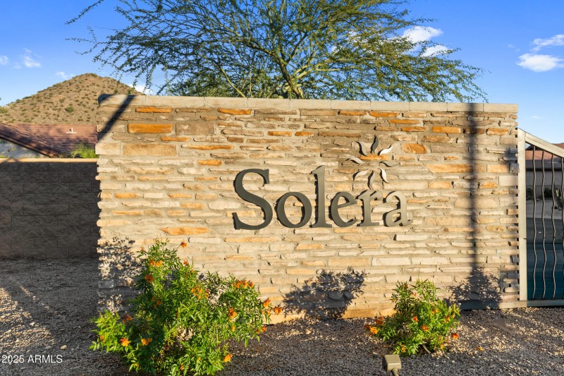 31417 N Desert Star St-55