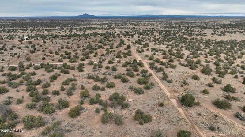 DJI_20251122120408_0019_V