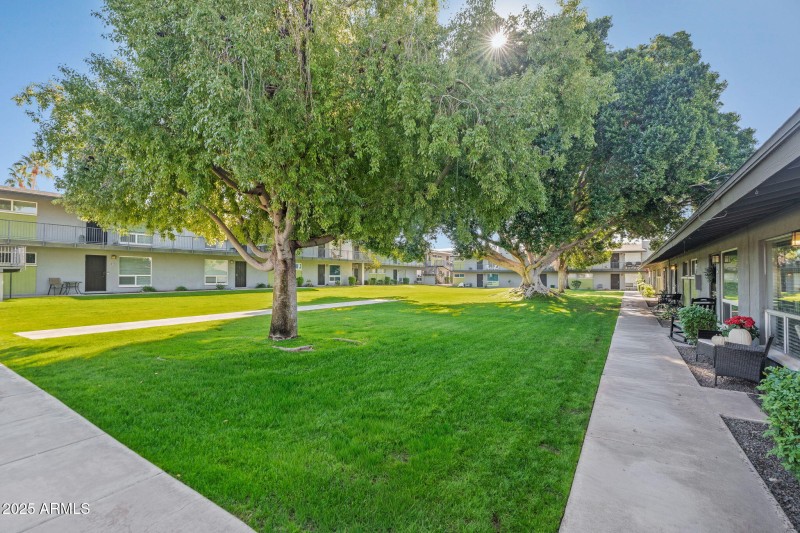 57-web-or-mls-Done-12