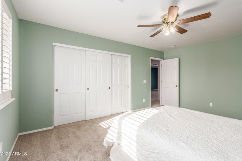 29 - Willow