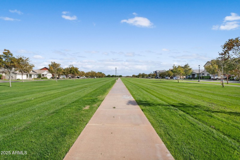 109-web-or-mls-DSC07135