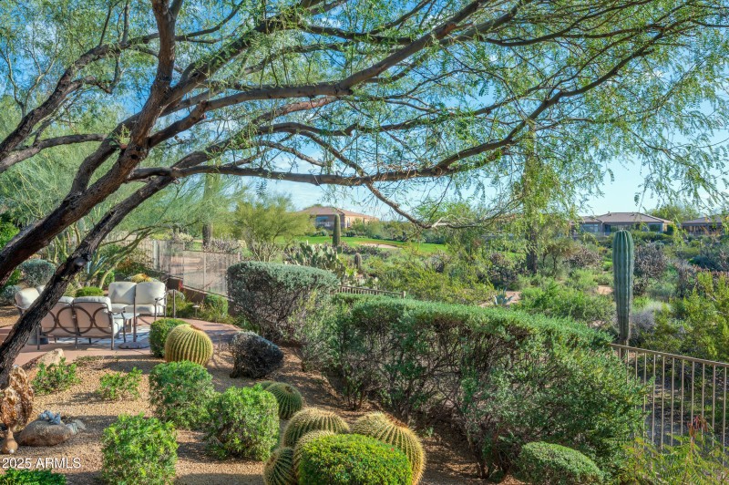 Botanical Landscape~