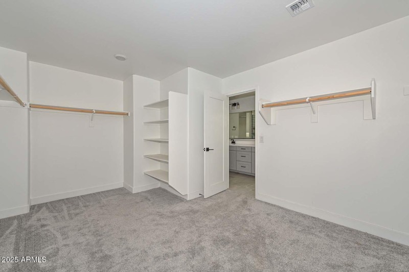 Primary Walk-in-Closet