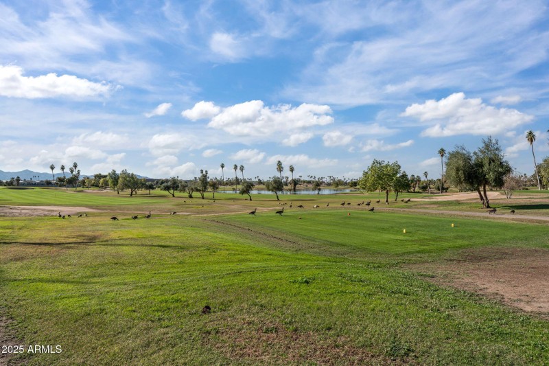 Water view from balcony