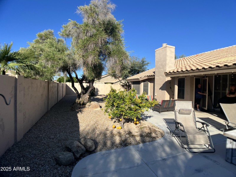 Rear Yard
