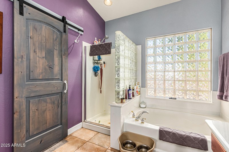 Primary Bathroom View B