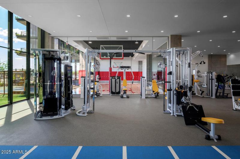 9 Amenity Weight Machines