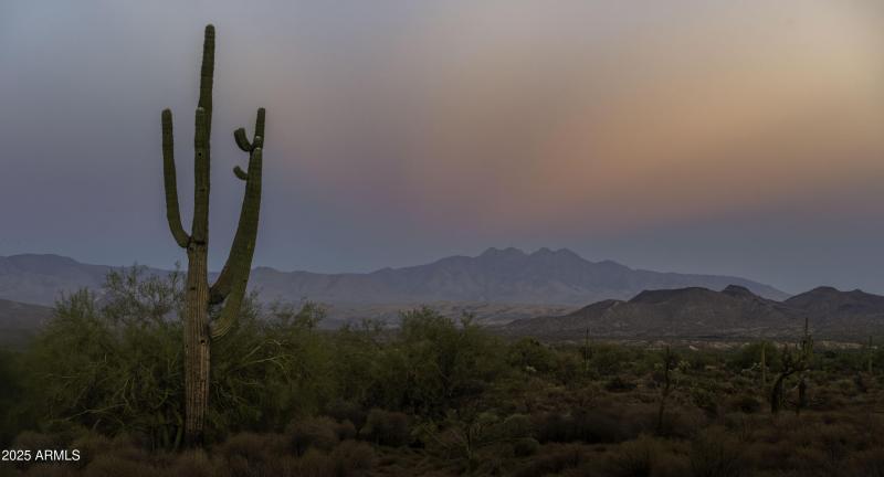 Four Peaks Views