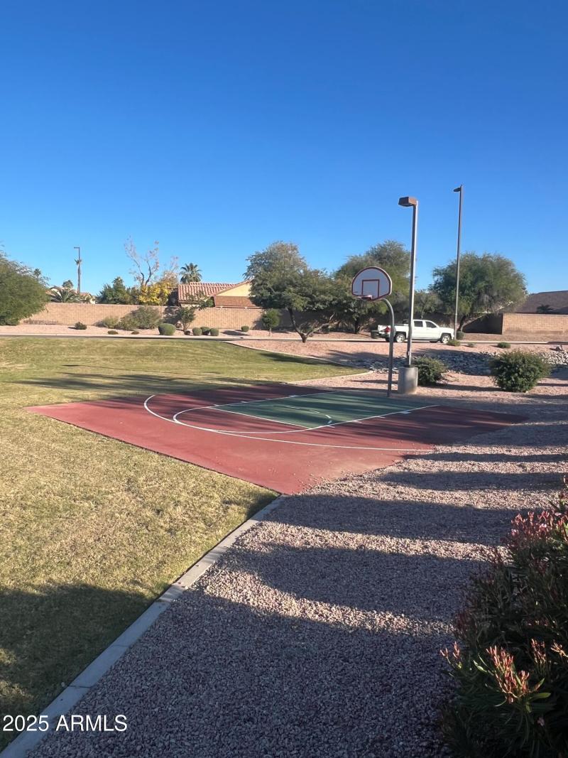 Large Park basketball court