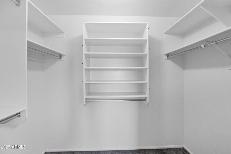 34-web-or-mls-P1393748