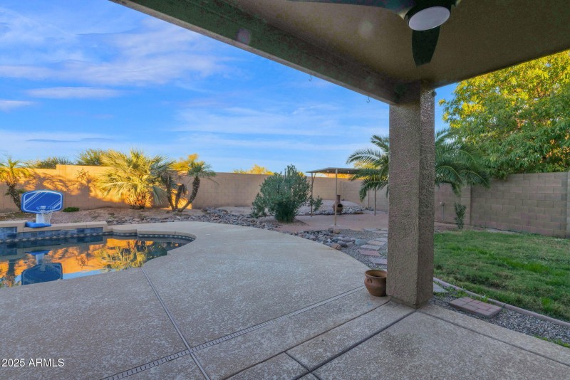 35-web-or-mls-P1393750