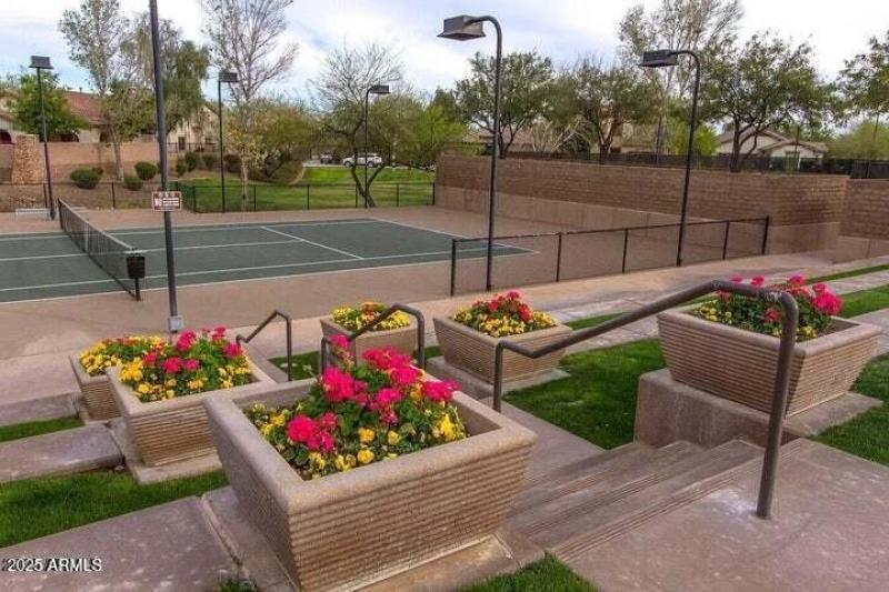 Vistancia tennis flowers