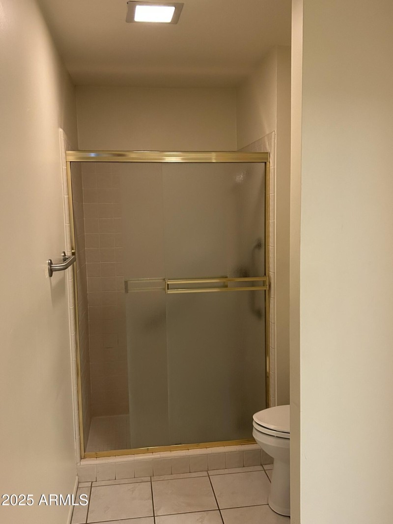 master shower and toilet