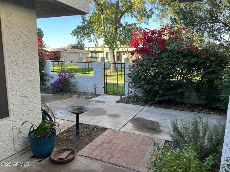 great ouside patio area facing N