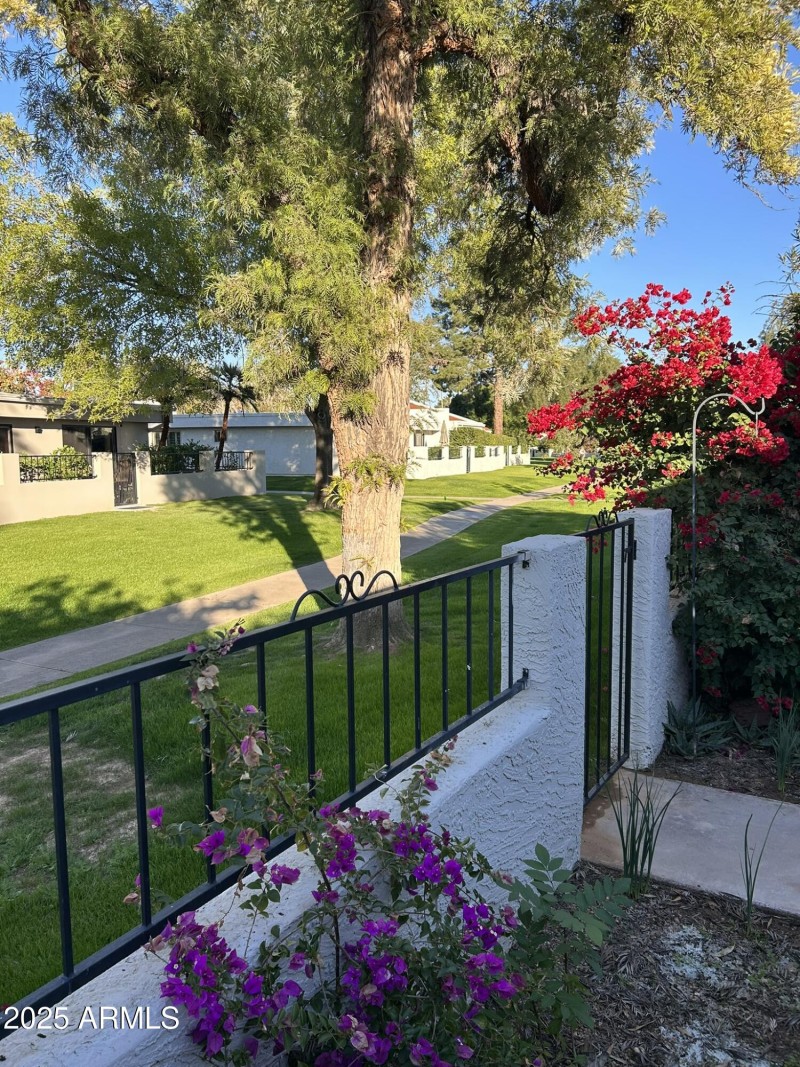 another view from patio