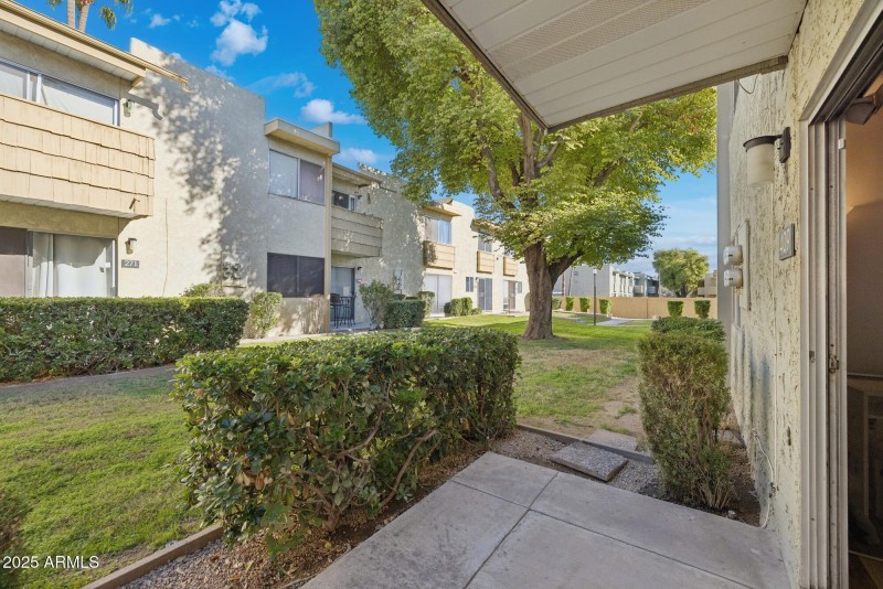 Back patio 1st floor