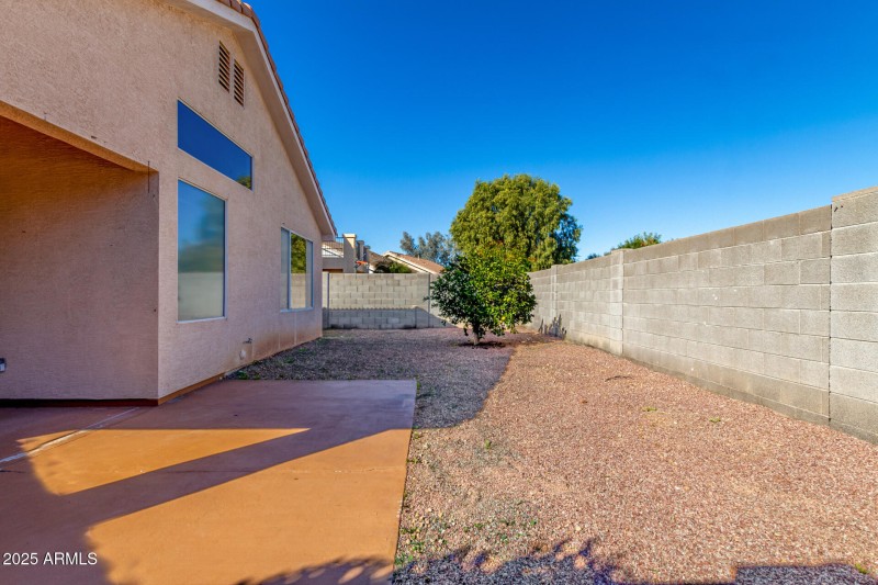 Back Yard/Citrus Tree/Covered Patio