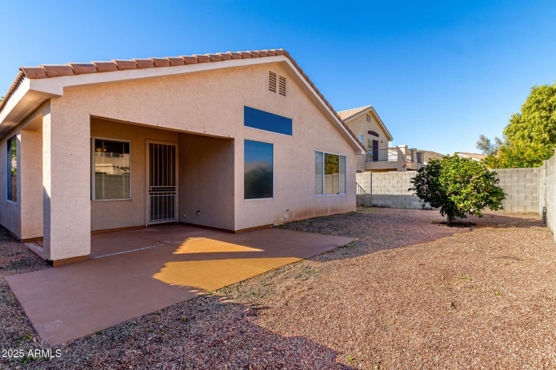 Low Maintenance Back Yard
