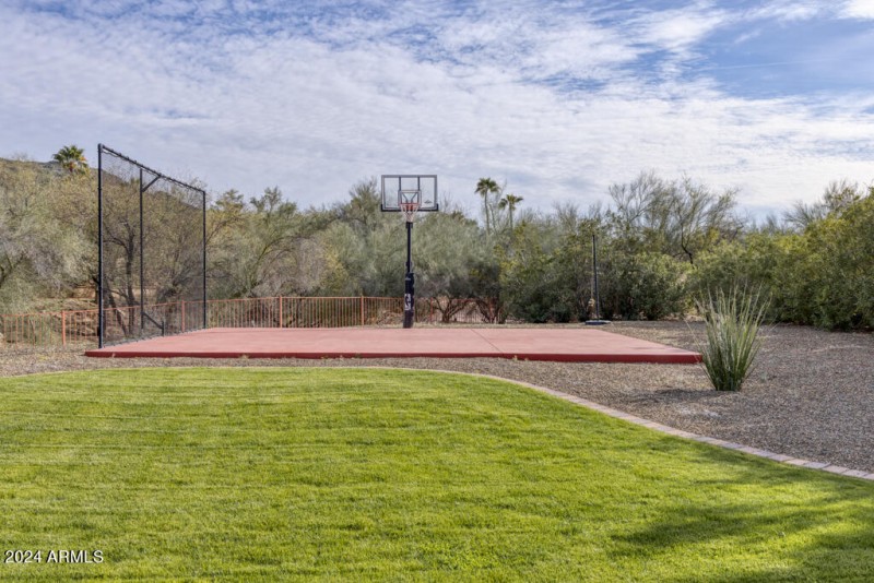 8243 MockingbirdLOW_Andrew Pielage-1