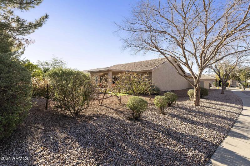 Back view from walking path