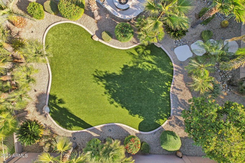 Grassy Area For Pups