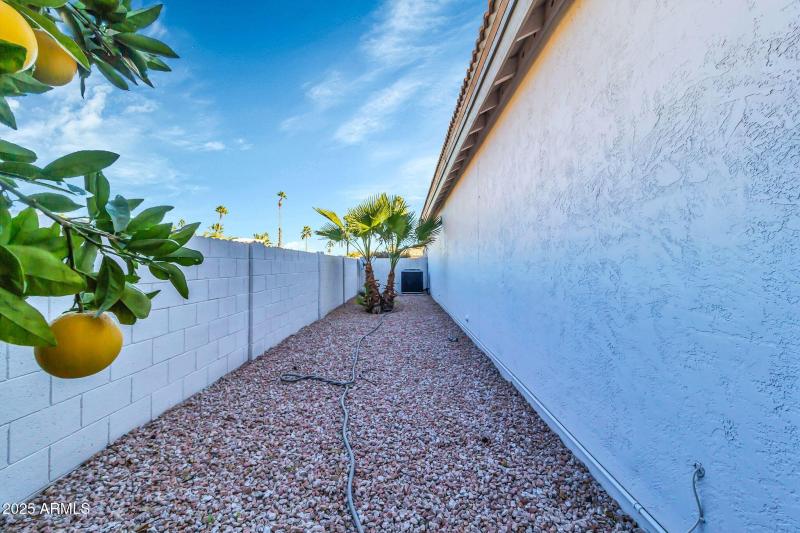 26434 S Boxwood Dr-33