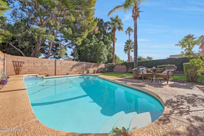Lush and inviting backyard